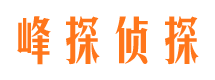 望城市私家侦探